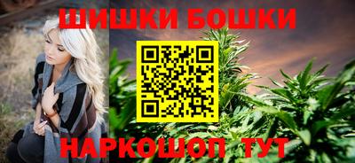 гидра Будённовск