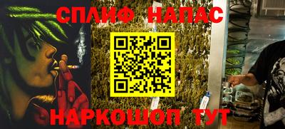 гидра Будённовск
