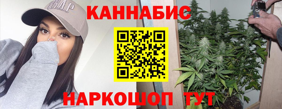 Канабис конопля Мариинск
